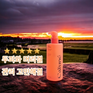 īǪ�� ���̾ ��Ǫ 500ml