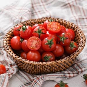 자연맛남 베리스윗 스테비아 대추 방울토마토 500g