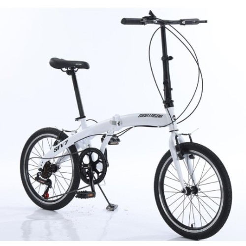 ��Ÿ�׳� SFV7 20 (2024����)