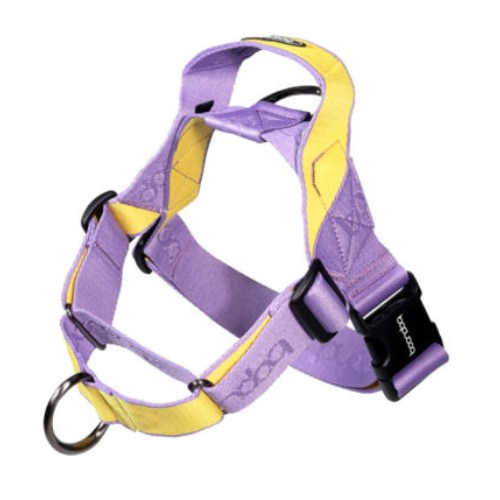  분독 0109 마틴게일 하네스 퍼플레몬