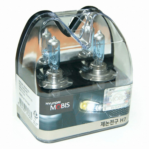 ������ ���� ����