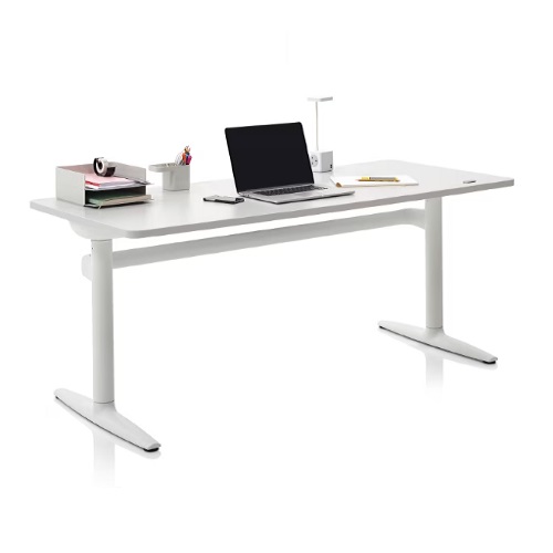 ��չз� ��Ʋ�� ���ĵ� å��