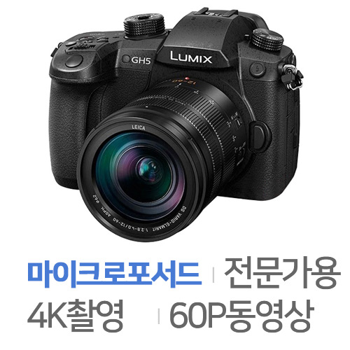 파나소닉 LUMIX G DC-GH5