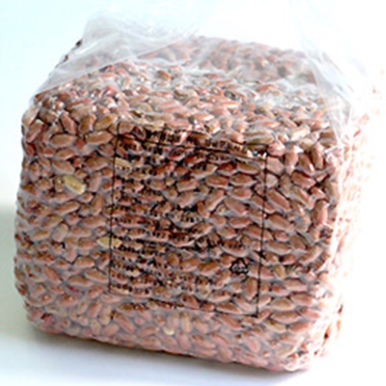 가온애 가온애 볶음땅콩 3.75kg (1개)_이미지