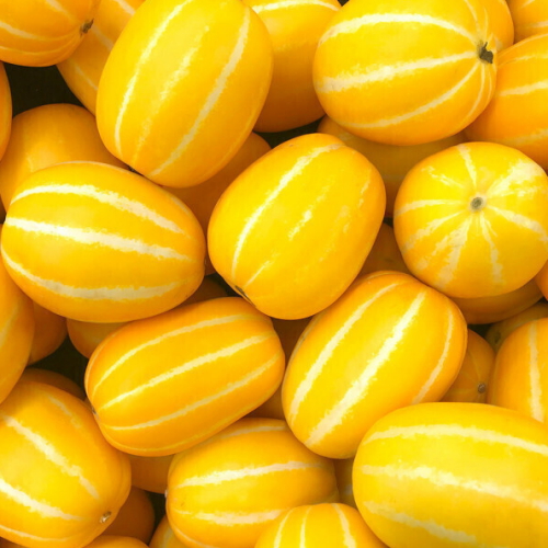 푸드대통령 성주 꿀벌 참외 혼합과 5kg [1개]