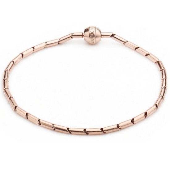 ���ν� 14K ���� �ñ״�ó ������ ���� (�� ����)