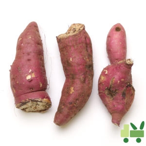 고구마 파지 10kg