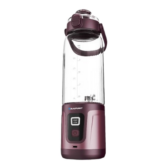 블라우풍트 BLP-BL700_이미지