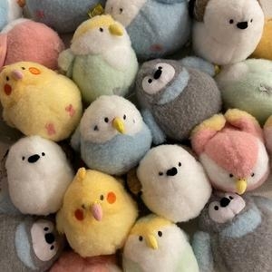 �������� �¾ �Ǽ��� ���� ���Ƹ�