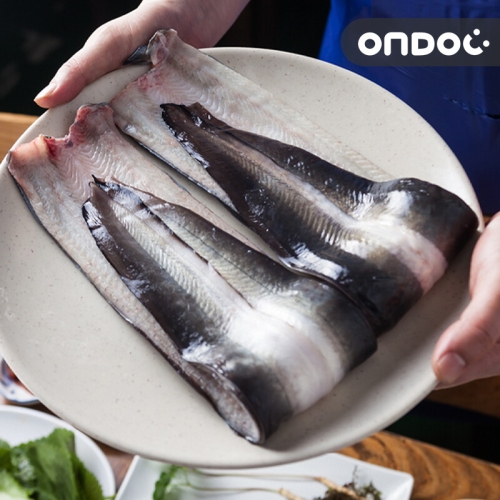 온도씨 고창 풍천 민물장어 6마리 2kg (1개)
