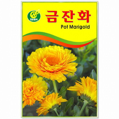 청농 금잔화 씨앗 (20립)_이미지