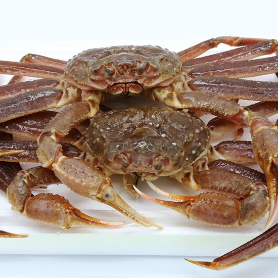 러시아대게 1.5kg (1개)