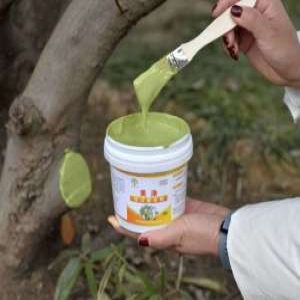 나무 상처 보호제 수목 식물 치료 도포제 화분 영양제