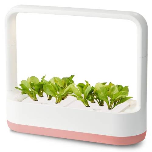 LG전자 틔운 미니 L023 (피치)_이미지