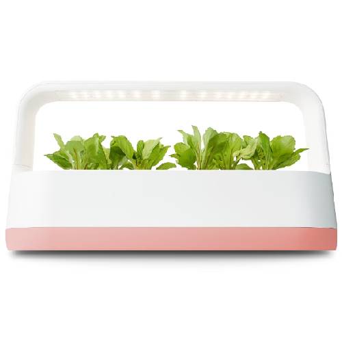 LG전자 틔운 미니 L023 (피치)_이미지