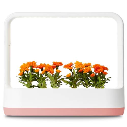 LG전자 틔운 미니 L023 (피치)_이미지