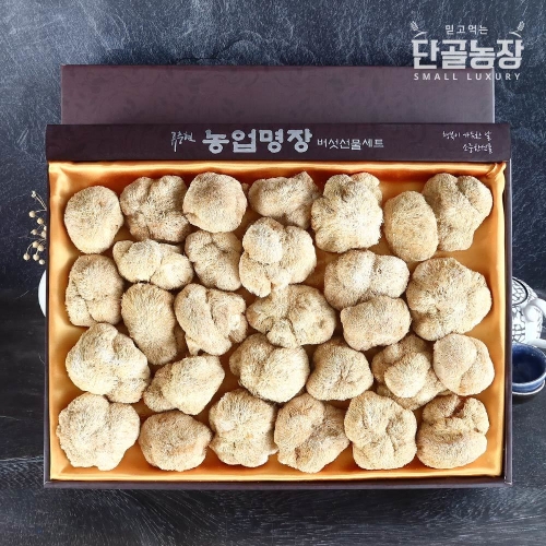 노루궁뎅이버섯 선물세트 2호 300g
