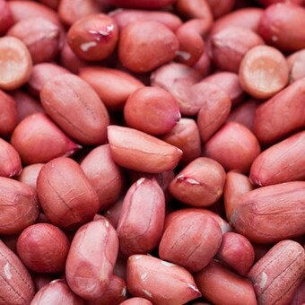 세진푸드 그대로푸드 햇 볶음<b>땅콩</b> 3.75kg