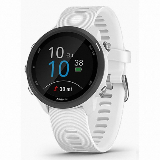 가민 포러너 245 뮤직 (해외구매)_이미지