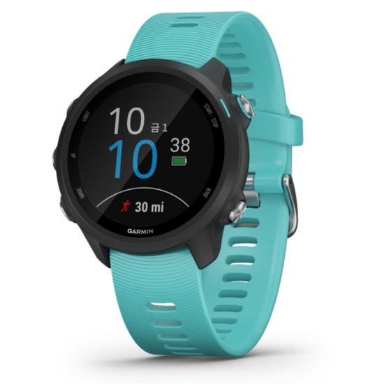 가민 포러너 245 뮤직 (해외구매)_이미지