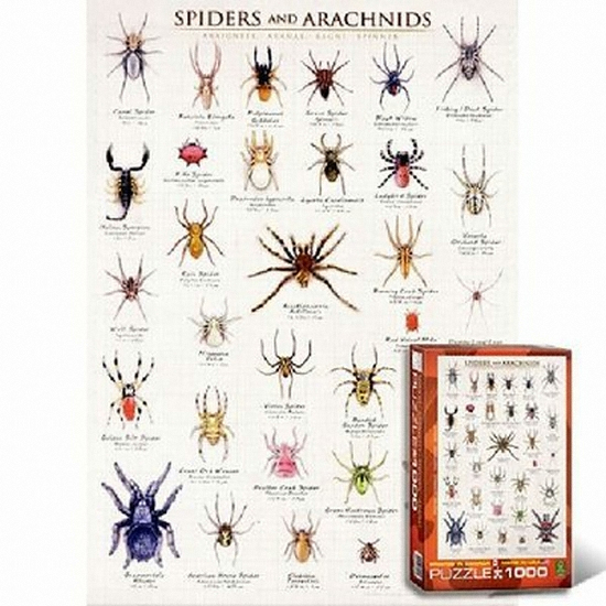 ���α׷��� �԰Ź��� ����