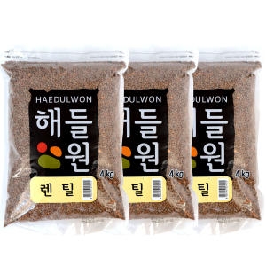 해들원 렌틸콩 4kg