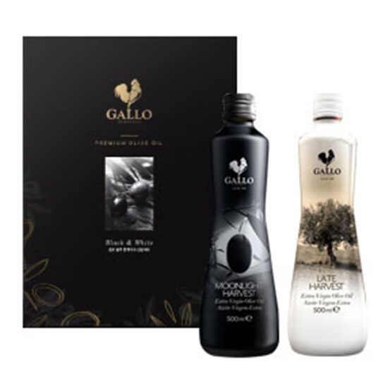 ���� ���� ȭ��Ʈ ������Ʈ