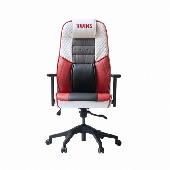 ����� ������ G1 TWINS ���̹� ����