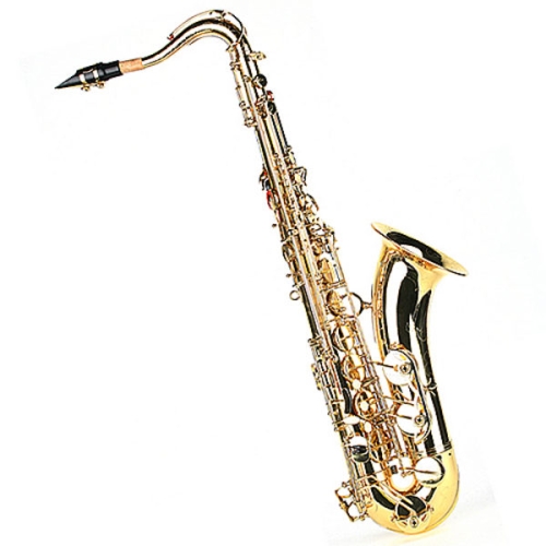 심로 마에스트로 MTS-100L_이미지