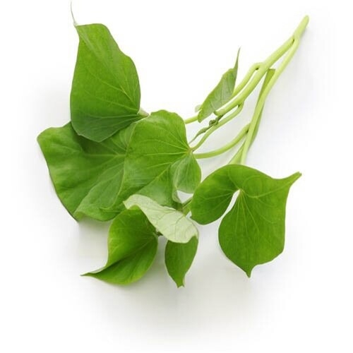 ���ѽ�Ź �س� �ܰ����� ���� 3��