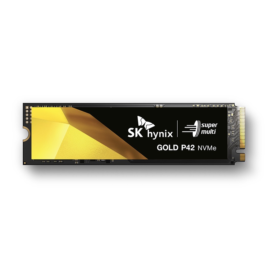 SK���̴н� Gold P42 M.2 NVMe