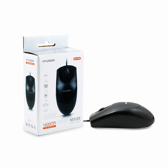 현대 INOGRAB HM-300_이미지