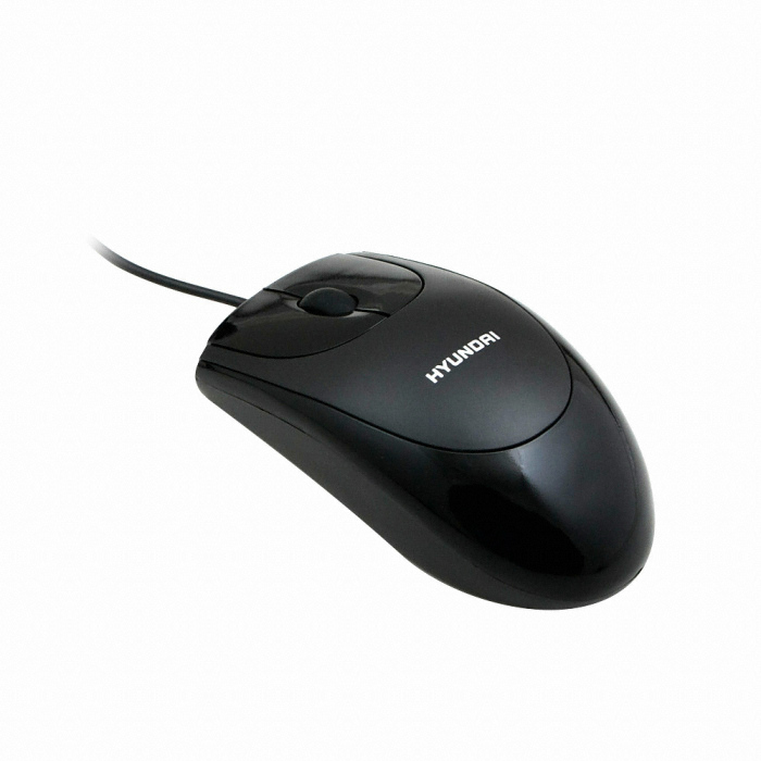 현대 INOGRAB HM-300_이미지