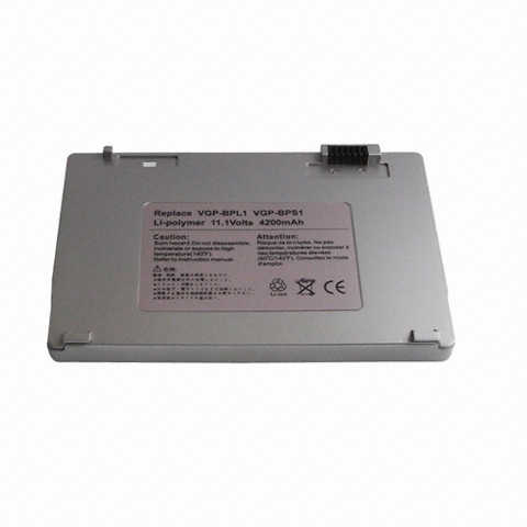 SONY BPL1 배터리_이미지