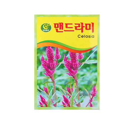 보람농자재 맨드라미씨앗 맨드라미 꽃씨 맨드라미꽃 꽃씨앗_이미지