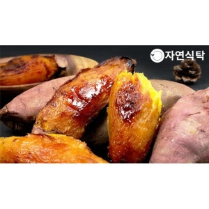 해남 꿀밤고구마 대 5kg