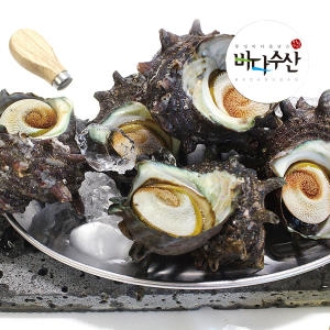 바다수산 통영 자연산 뿔소라1kg