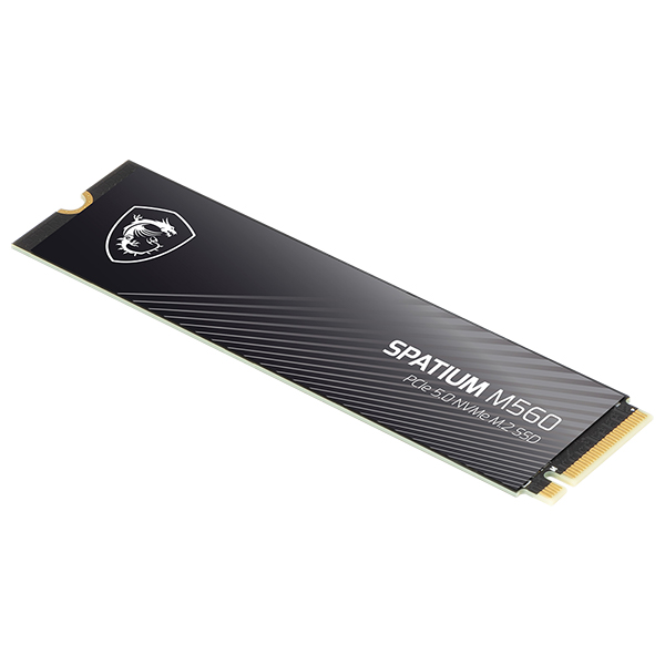MSI SPATIUM M560 M.2 NVMe