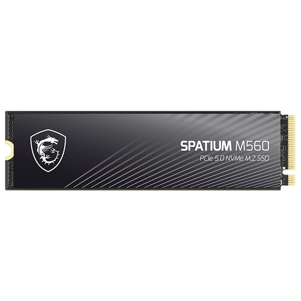 MSI SPATIUM M560 M.2 NVMe
