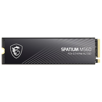 MSI SPATIUM M560 M.2 NVMe