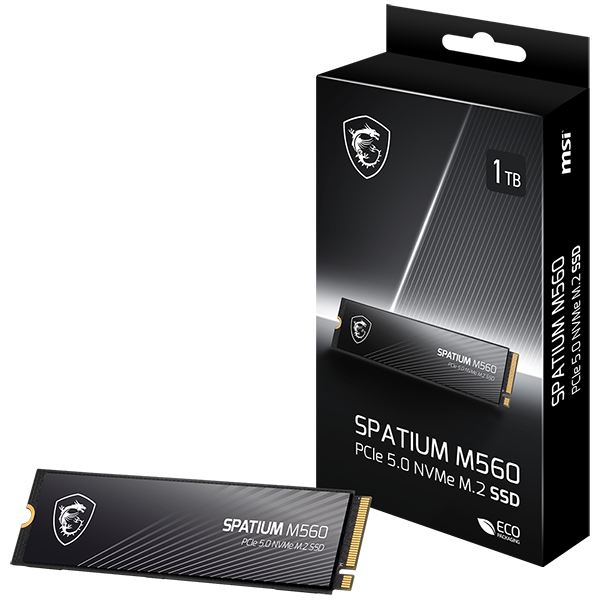 MSI SPATIUM M560 M.2 NVMe