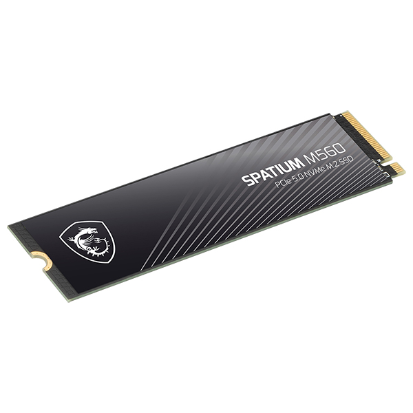 MSI SPATIUM M560 M.2 NVMe