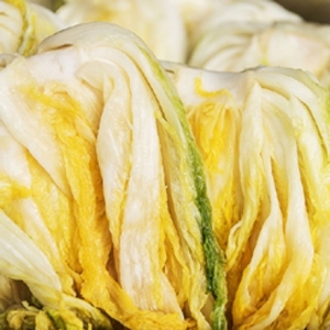 늘해랑 해남 절임배추 20kg