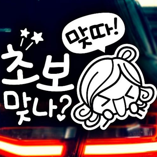 제제데코 초보맞나 초보운전스티커