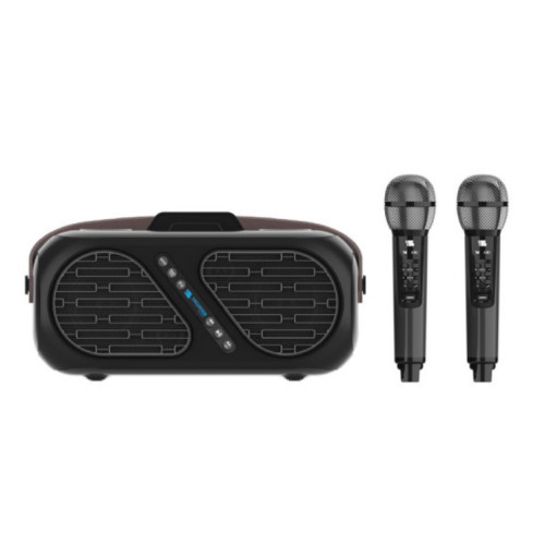 ��ƿ�罺�� ST-DM110
