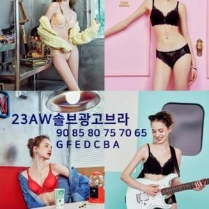 비너스 솔브 DP02 23AW솔브가슴잘모아주는편한C컵브라 고밀도커버업편한브라90C85C80C75C