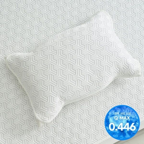  애끌리아 플라이토 HR 3중직 밴딩 냉감 베개덮개 [2장, 70x50cm]