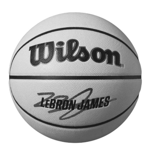윌슨 NBA PLAYER ICON 미니 농구공 UV B1 W26010IKI013_이미지