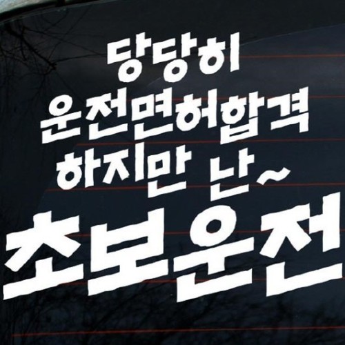 자동차 스티커3 글씨 당당히 운전면허합격 하지만 난 초보운전 LSC-382