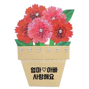 씨엔티코리아 카네이션 화분 종이접기 4인용 .안녕미술아이미지입니다. 누르면 해당 게시물로 새창이동합니다.
